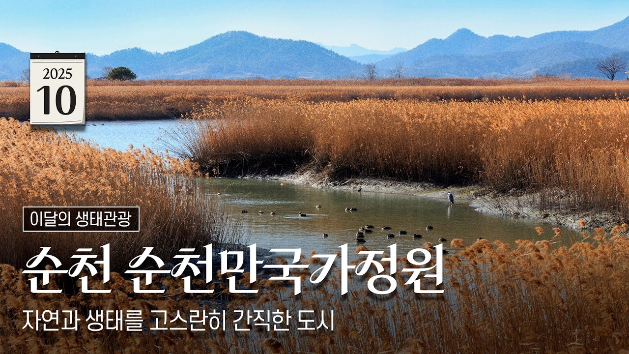 자연과 전통을 품은 순천 | 이달의 생태관광지💚#10월