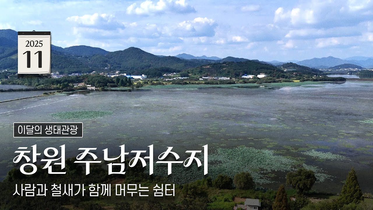 사람과 철새가 함께 머무는 쉼터 | 이달의 생태관광지💚#11월