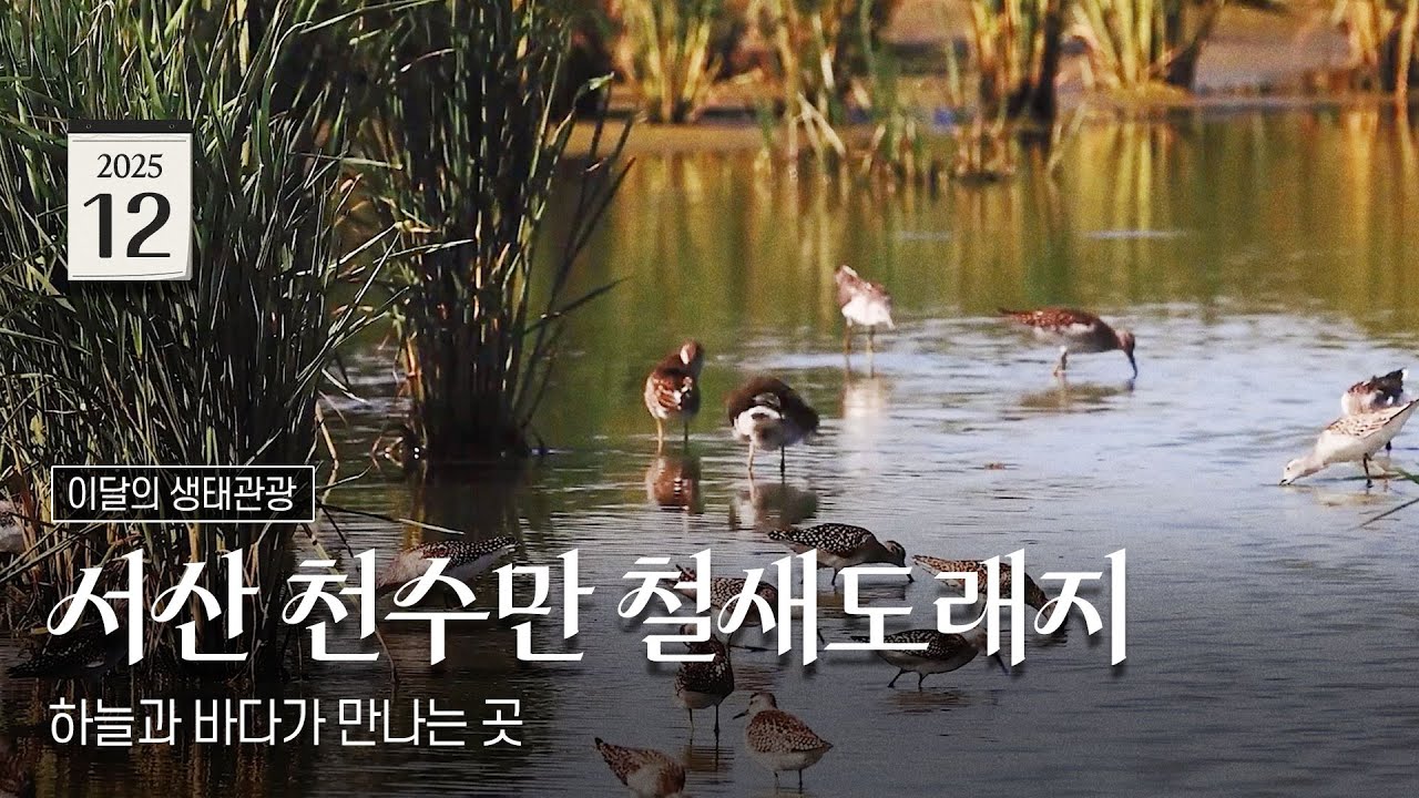 하늘과 바다가 만나는 곳 | 이달의 생태관광지💚#12월