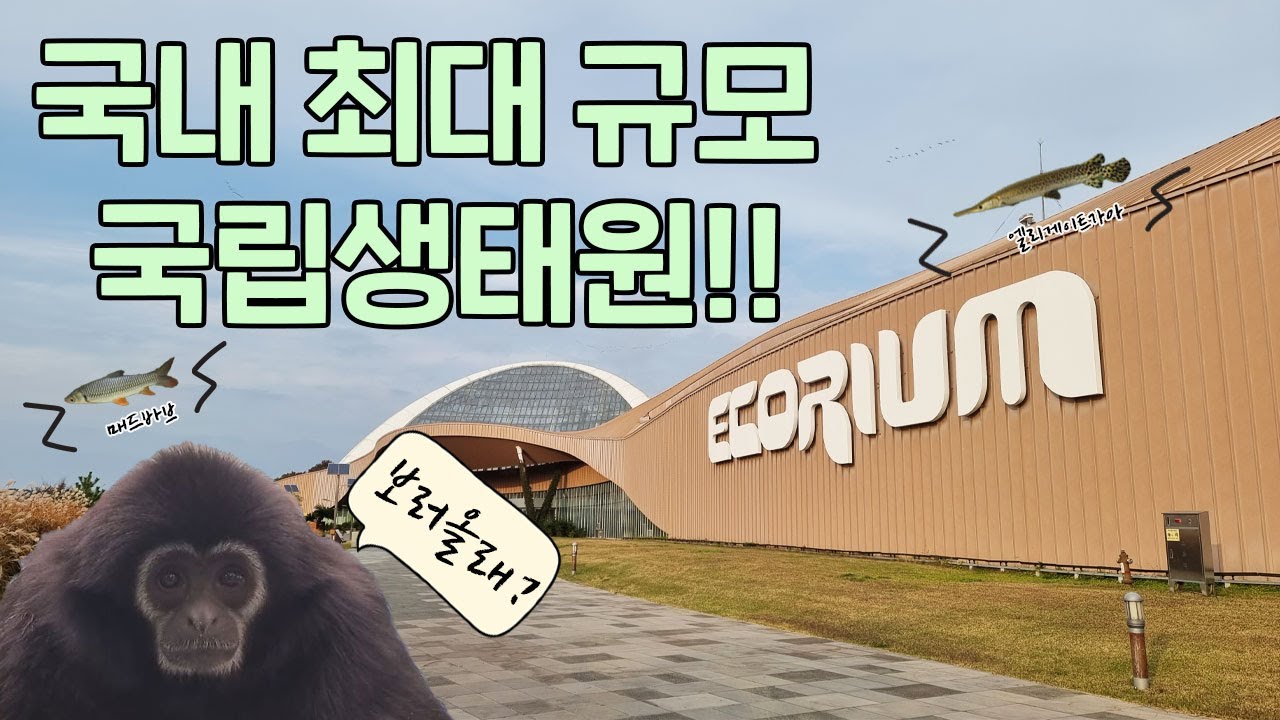 5월 이달의 컨텐츠